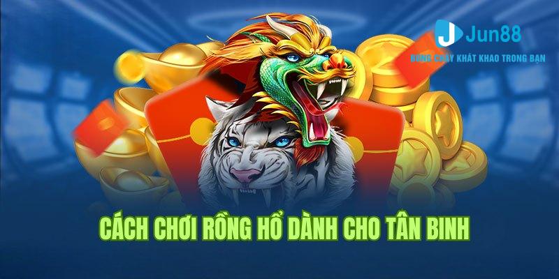 Thông tin cách chơi Rồng Hổ Jun88 dành cho hội viên mới