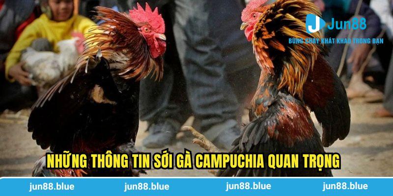 Những thông tin sới gà Campuchia quan trọng