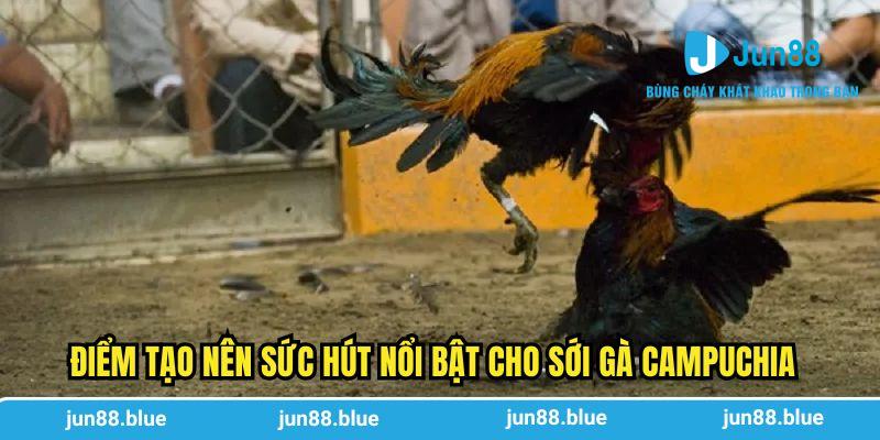 Điểm tạo nên sức hút nổi bật cho sới gà Campuchia
