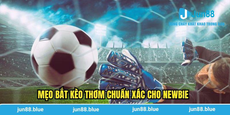 Mẹo bắt kèo thơm chuẩn xác cho newbie