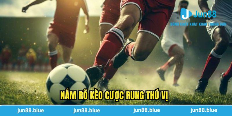 Nắm rõ kèo cược rung thú vị